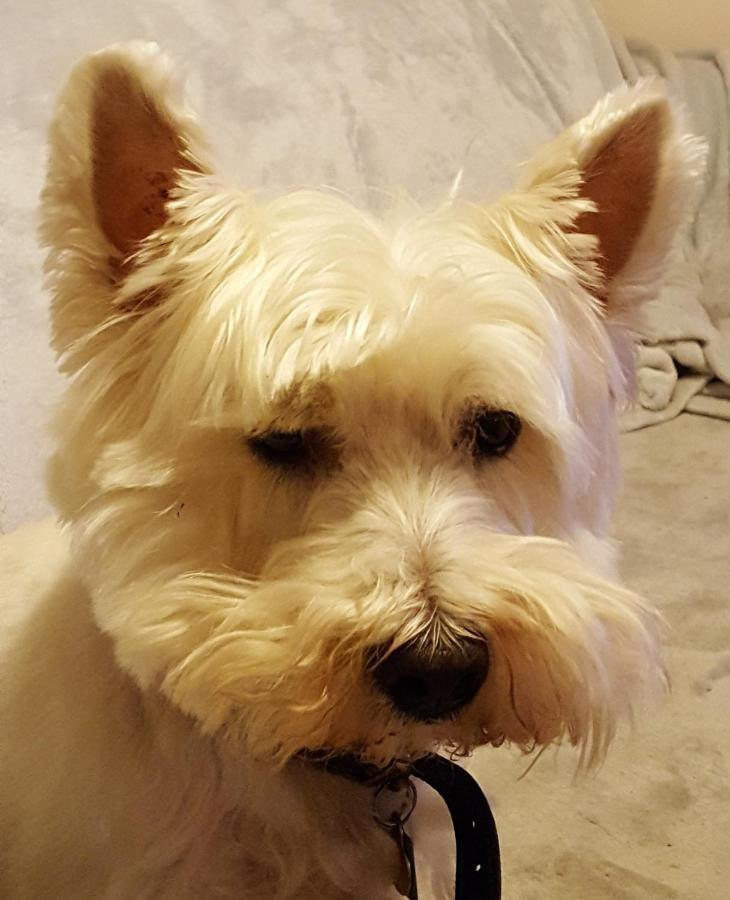 Tanleys B&B Grantown-on-Spey Extérieur photo
